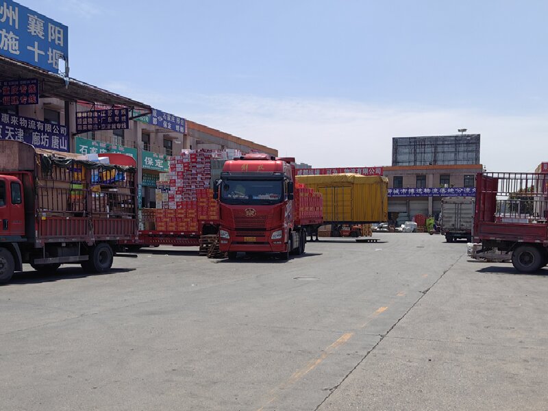 溫州至望江縣物流公司