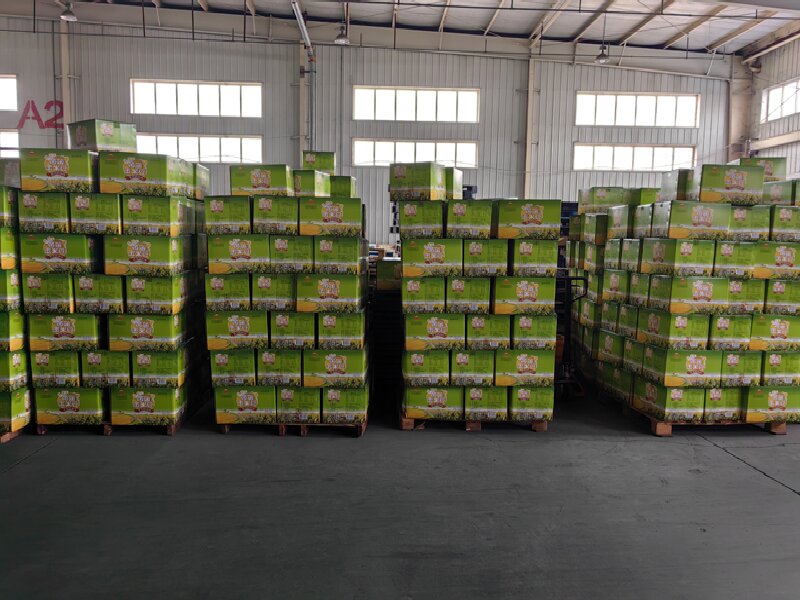 溫州到太康縣物流公司