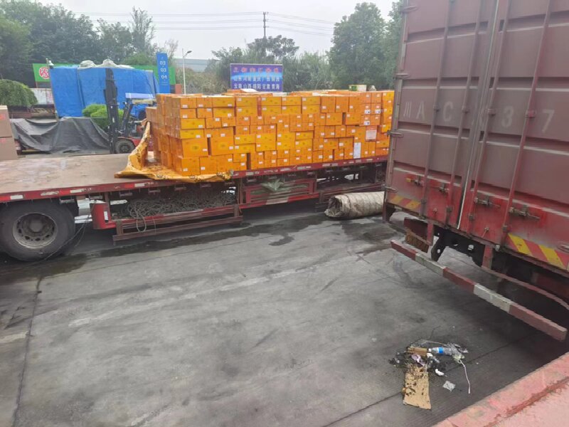 溫州到岳西縣物流公司